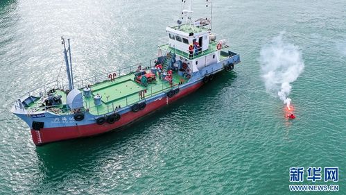 組圖 漳州海陸聯(lián)動 筑牢安全防線——海上應(yīng)急與陸路協(xié)同演練紀(jì)實(shí)
