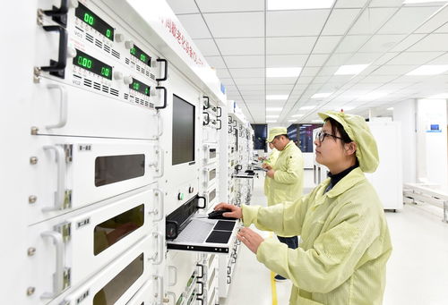 揚州新質生產力之花 信息電子技術服務的絢麗綻放